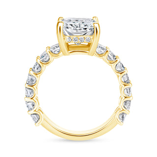 The Hailey: 4CT Elongated Radiant Cut Diamond in 14K Gold