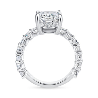The Hailey: 4CT Elongated Radiant Cut Diamond in 14K Gold