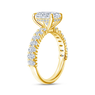 The Chloe