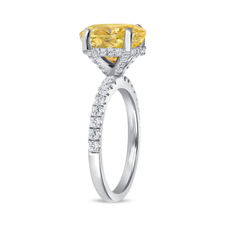 The Abigail: 3CT Oval Cut Diamond in 14K Gold