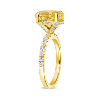 The Abigail: 3CT Oval Cut Diamond in 14K Gold