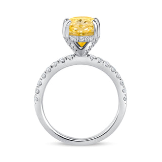 The Abigail: 3CT Oval Cut Diamond in 14K Gold
