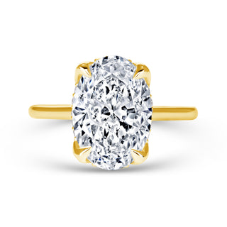 The Scarlett